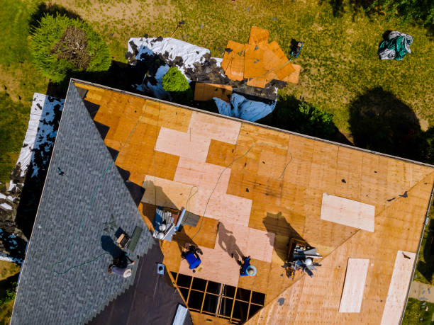 Best Shingle Roofing Installation  in Buttonwillow, CA