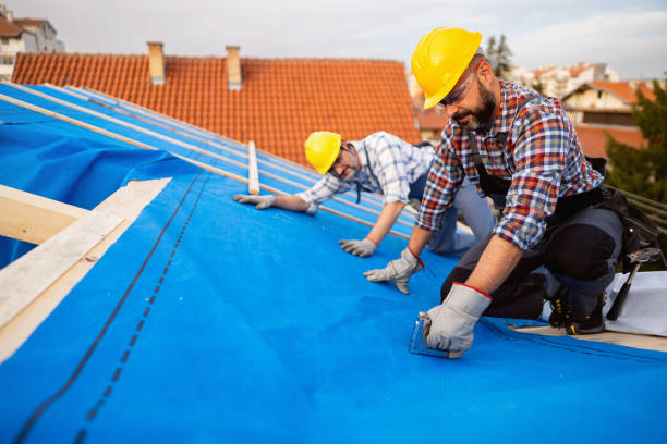 Roof Gutter Cleaning in Buttonwillow, CA